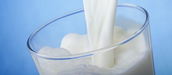 Producteurs laitiers : usage de la dénomination « lait »