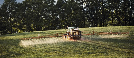 Grandes cultures : l’Union européenne reporte le vote sur le glyphosate