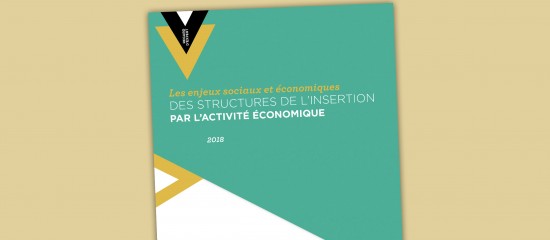 Insertion : quels enjeux sociaux et économiques ?