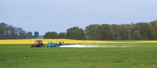 Toutes cultures : interdiction de certains néonicotinoïdes