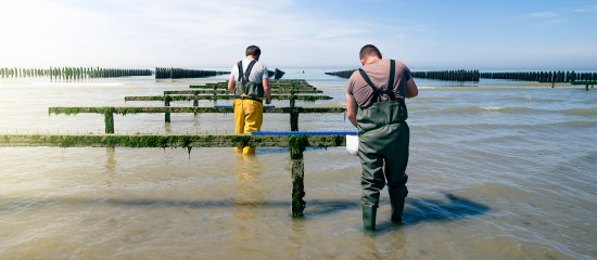 Aquaculteurs : appel à projet sur l’innovation