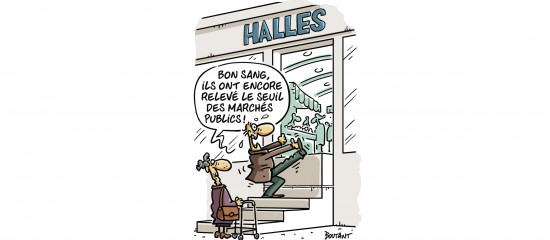 Seuil de publicité des marchés publics