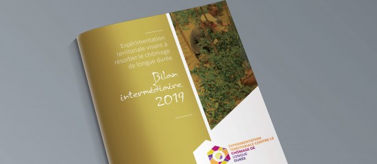 Insertion : bilan de l’expérimentation « Territoires zéro chômeurs longue durée »