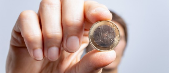 Insertion : permis à un euro par jour