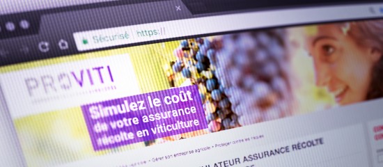 Viticulteurs : un simulateur sur l’assurance récolte