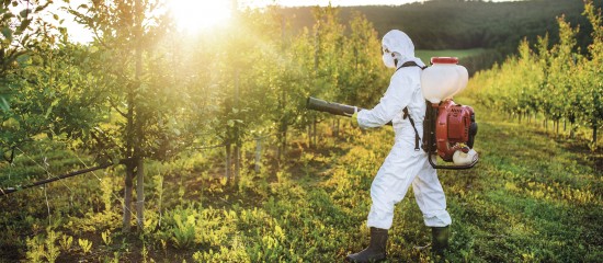 Toutes cultures : interdiction de deux nouveaux insecticides