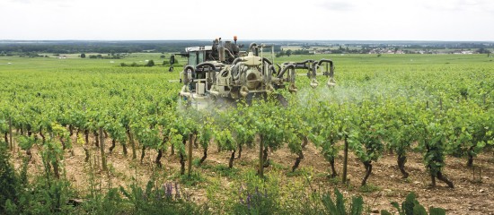 Viticulteurs : l’impact économique du retrait du glyphosate