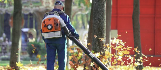 Insertion : les structures d’insertion par l’activité économique en 2018