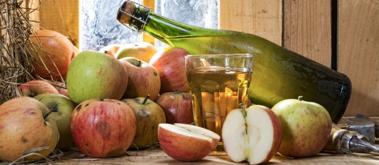 Arboriculteurs : aide à la plantation de pommiers à cidre