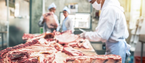 Éleveurs : levée des restrictions japonaises sur le bœuf français