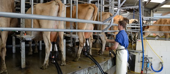 Producteurs de lait : contrat de vente de lait de vache