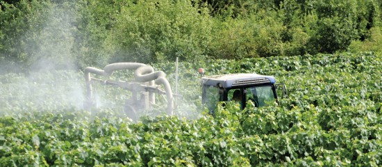 Viticulteurs, arboriculteurs : retrait du mancozèbe