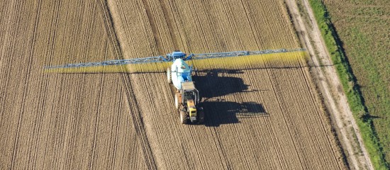 Plan de relance : les mesures prévues pour l’agriculture