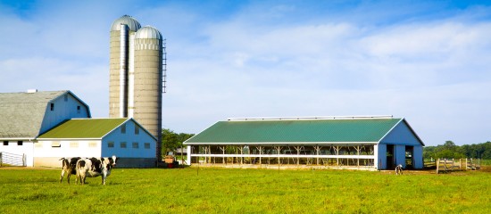 Exonération des plus-values des petites exploitations agricoles : à quelles conditions ?