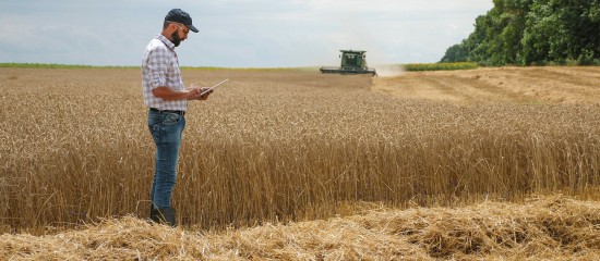 Renouvellement du bail rural : gare au respect du contrôle des structures !