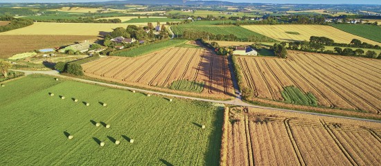 Le marché des terres agricoles en 2021