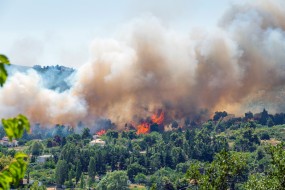 L’Urssaf au chevet des entreprises touchées par les feux de forêts