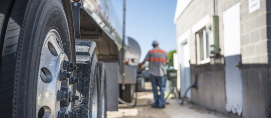 Étendue de l’obligation de collecte des coopératives agricoles à l’égard de leurs adhérents