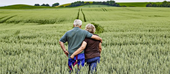 Transmission du bail rural au conjoint de l’exploitant décédé : à quelles conditions ?