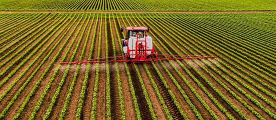 Toutes cultures : le glyphosate à nouveau autorisé pour 10 ans ?