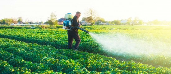 Céréaliculteurs, producteurs de pommes de terre : encadrement de l’usage du prosulfocarbe