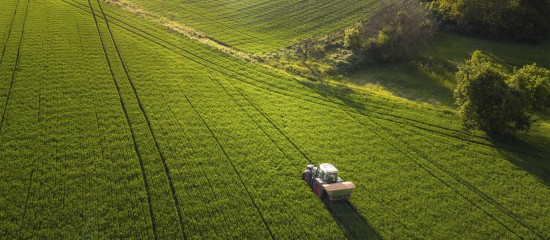 Congé pour reprise de terres agricoles : quand faut-il effectuer la déclaration requise ?