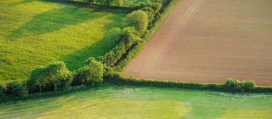 Le volet agricole de la planification écologique