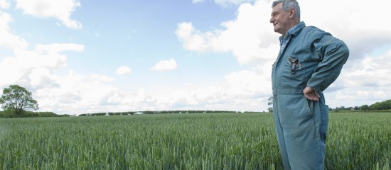 Quelle durée pour un bail rural à long terme conclu au profit d’un exploitant âgé ?